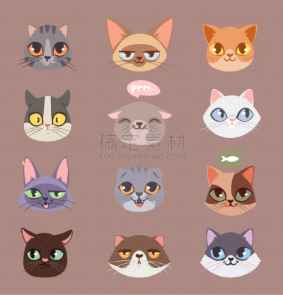 猫,动物头,可爱的,宠物,自然,华丽的,愉悦,图像,哺乳纲,设计