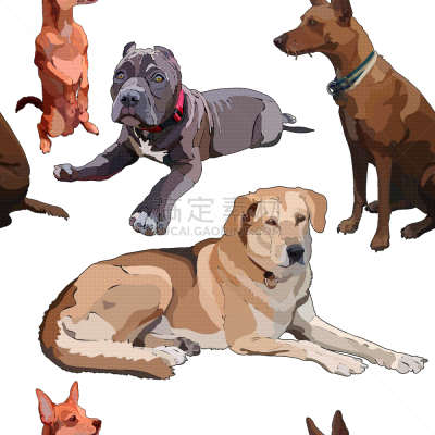 狗,可爱的,鲍沃,纯种犬,梗犬,肖像,巴哥犬,动物,杂种猫,绘制