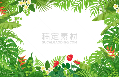 边框,热带的花,蕨类,鸡尾酒,复叶,自然,长方形,热带雨林,图像,植物群