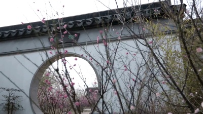 春园