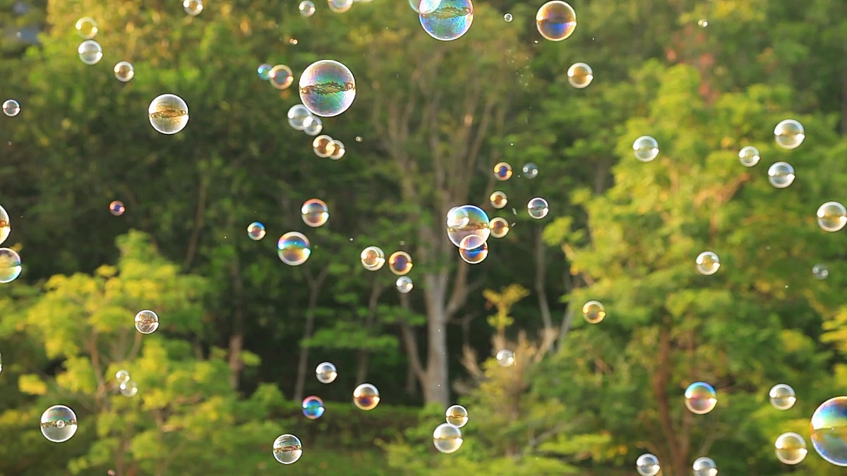 Soap bubbles floating in the air with natural green blurred bokeh background