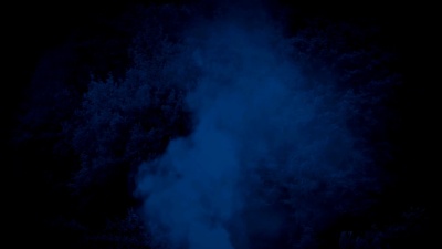 夜间树旁升起的烟雾