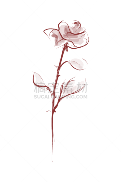 玫瑰,自然美,涂料,轮廓,高雅,背景分离,垂直画幅,图像,花朵,艺术