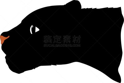 云豹,白色,黑色,可爱的,巨大的,自然,野生动物,图像,矢量,剪影