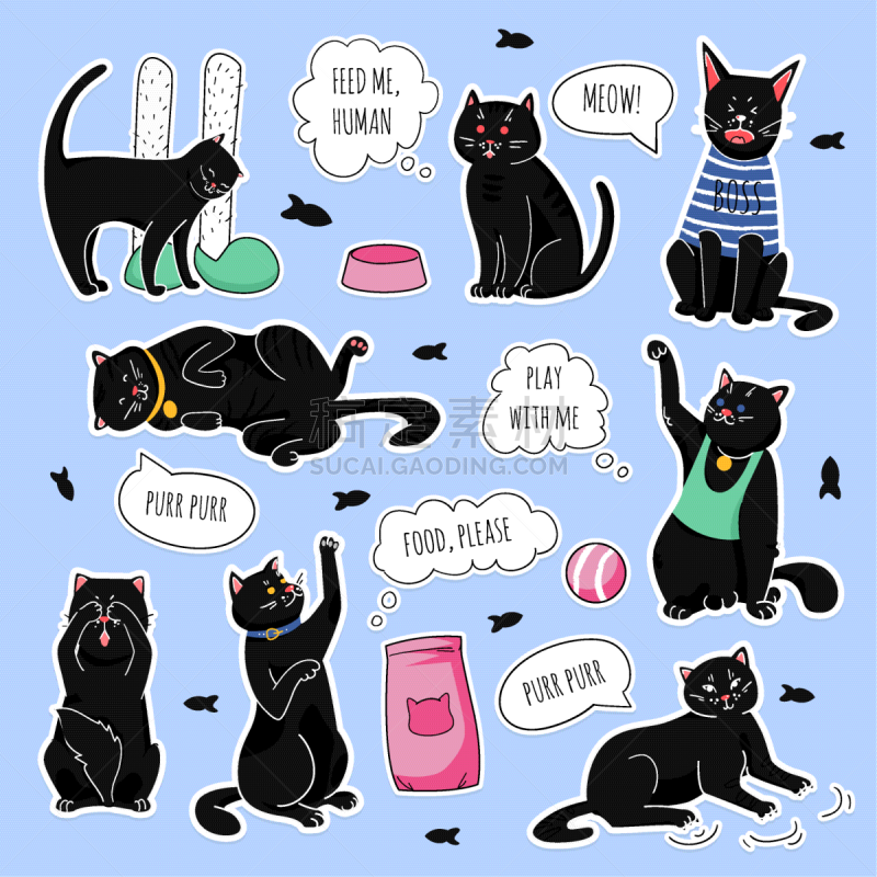 猫,黑色,标签,兽群,乐趣,男孩,可爱的,愉悦,收集
