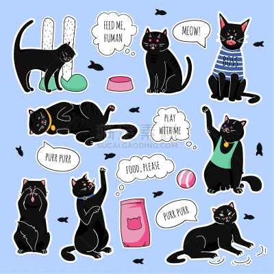 猫,黑色,标签,兽群,乐趣,男孩,可爱的,愉悦,收集
