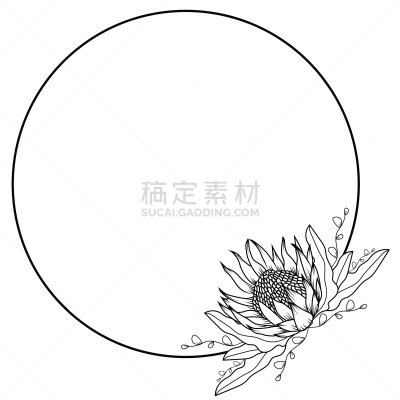 普罗梯亚木,花环,清新,背景分离,简单,南非国家板球队,装饰物,品牌名称,植物,线条画