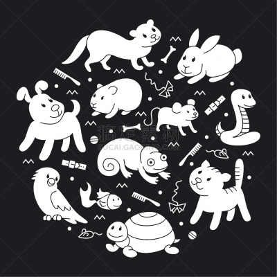 宠物商店,圆形,模板,华丽的,蛇,狗,鸟类,品牌名称,蜘蛛,剪影