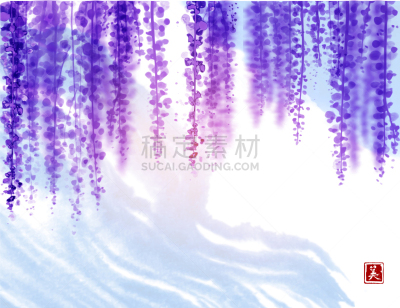 白色,紫藤,天空,青绿色,云,自然,季节,清新,紫色,花