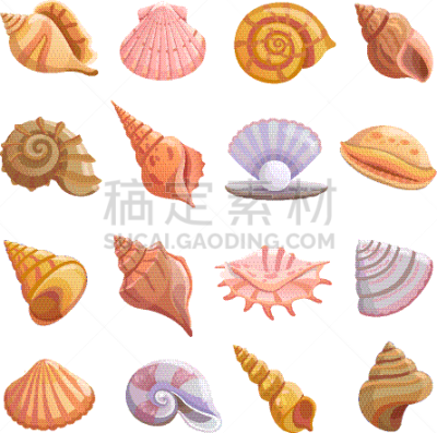海洋,贝壳海滩,卡通,分离着色,秘密,鸡尾酒,自然,螺线,图像,收集