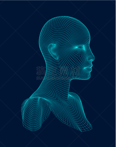 接线框,三维图形,人的头部,生物学,人造的,商务,职权,电子人,画画,思考