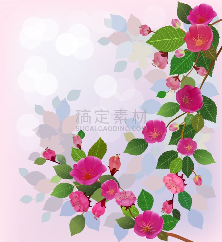 花朵,樱之花,全部,春天,自然,红色,粉色,花,起床