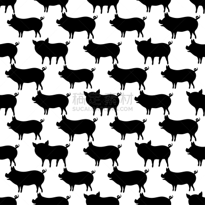 猪,白色背景,可爱的,白色,肉,2019,粉色,猪肉,图像,装饰