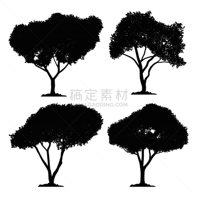 分离着色,黑森林,环境,木材,植物群,自然美,剪影,树,布置,绘制