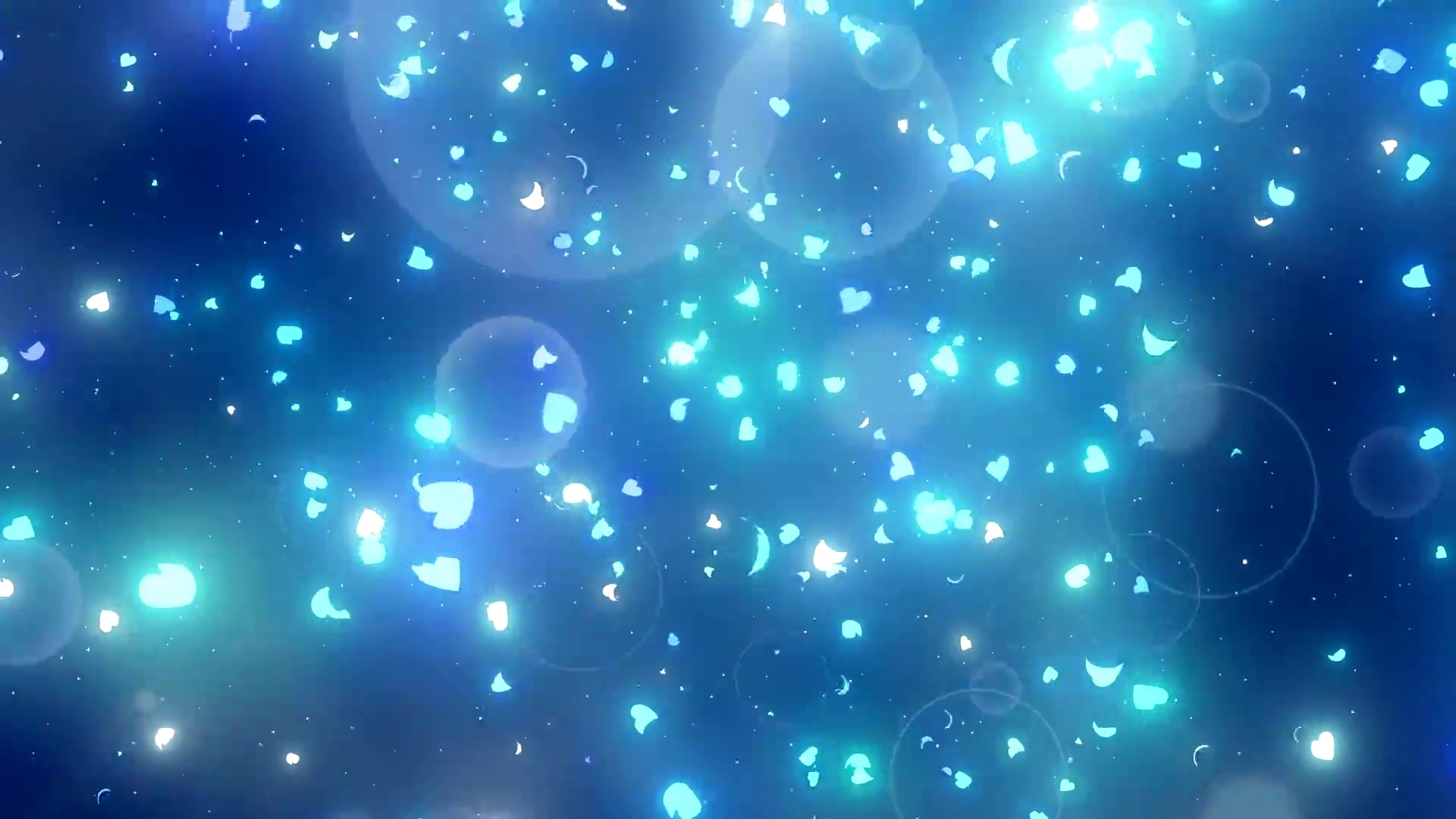 樱花的花瓣