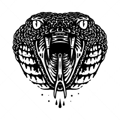 动物,矢量,绘画插图,t恤,插画,纺织品,动物习性,艺术品,自然荒野区