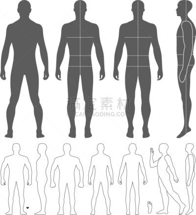 男人,模板,全身像,时尚,非全秃,小雕像,白色,腰部,分离着色