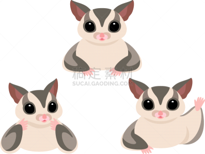 灰色,绘画插图,滑翔机,甘蔗,中间部分,可爱的,背景分离,野生动物,简单,动物群
