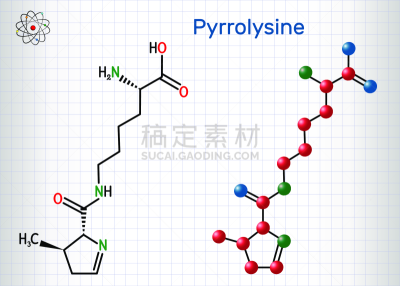 笼子,分子,蛋白质,公式,里拉符号,纸,氨基酸,模型,古老的,设计