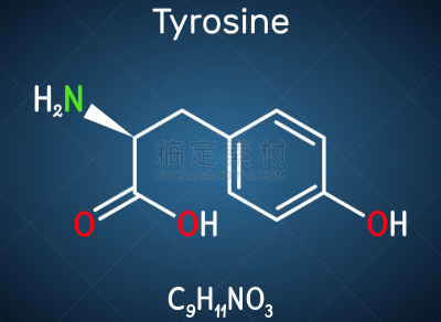 酪氨酸,分子,蛋白质,氨基酸,公式,蓝色背景,互联网,甘草糖,黑色素,设计
