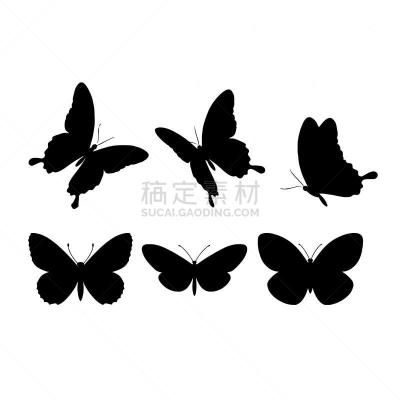 矢量,自然美,黑色,白蝴蝶,自然,华丽的,黄色,请柬,精工制品,红色