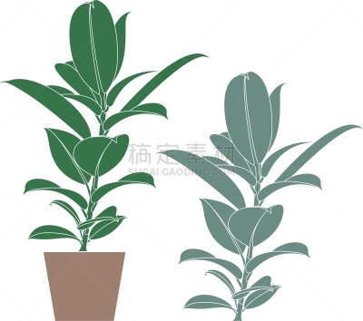 无花果树,分离着色,轮廓,自然,五月,摆拍,图标集,花盆,花,收集
