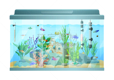 海草,水族馆,鱼类,石头,水下,性格,业余爱好,自然,野生动物,游泳