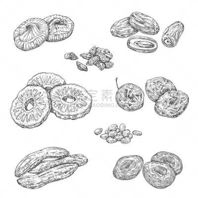 浆果,坚果,草图,干果,分离着色,可爱的,糖衣蛋糕,清新,背景分离,热带气候