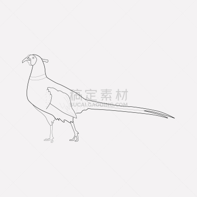 计算机图标,雉,线条,轮廓,鸡尾酒,自然,牲畜,动物园,高雅,飞