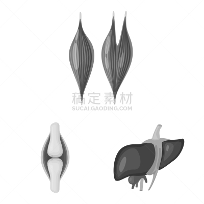 医疗标志,里面,分离着色,生物学,健康保健,人,灰色,图像,收集,设计