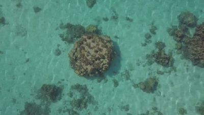 缩小泻湖礁石