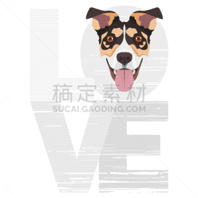 杰克拉瑟短腿犬,白色,宠物,图像,狗,矢量,吠声,小狗,爱,设计