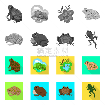 野生动物,标志,藓沼,生物学,有毒物质,环境,青蛙,草,动物,布置
