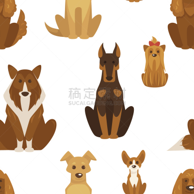 狗,动物,犬科的,纯种犬,梗犬,肖像,哺乳纲,打字,坐,爱