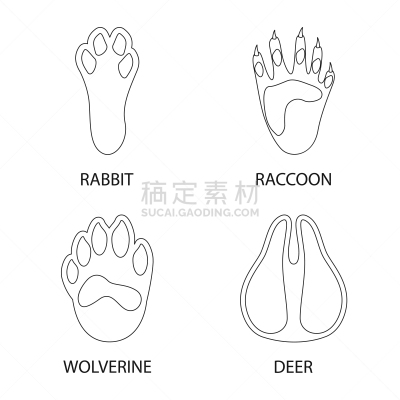 脚印,动物足,符号,脉搏图,野生动物,蹄,动物,兔子,小路,爪