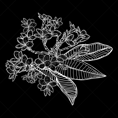动物手,请柬,事件,周年纪念,植物群,婚礼,插花,绘制,问候,排列