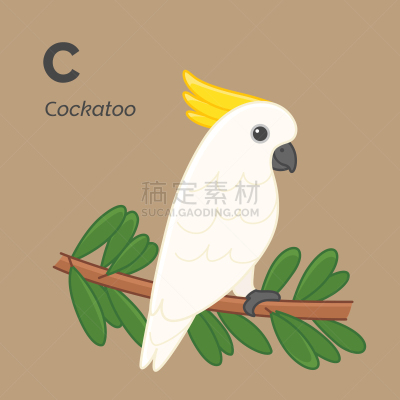 字母,野生动物,玩具,简单,动物,鸟类,鹦鹉,绘画插图,影棚拍摄,痕迹