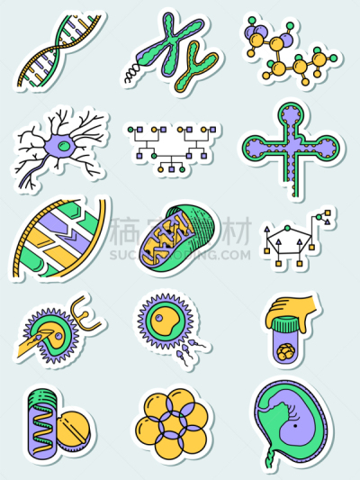 科学,脱氧核糖核酸,计算机图标,线粒体,核糖核酸,卵子,多代家庭,螺线,技术,健康保健