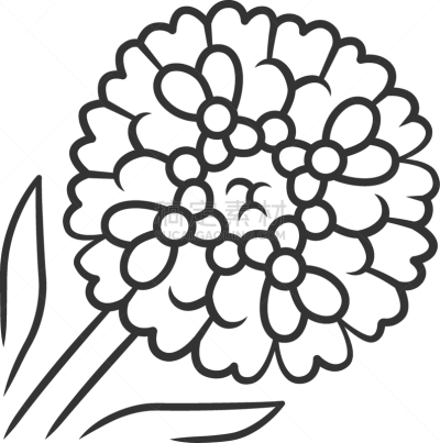candytuft linear icon aster garden flower iberis
