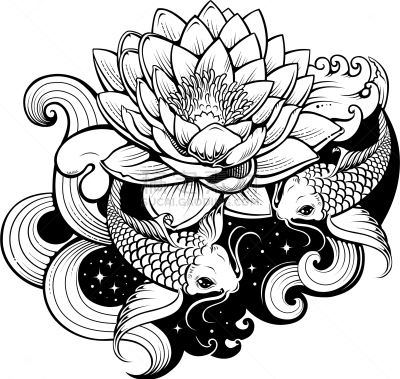 池塘,锦鲤,分离着色,白色,亚洲,自然,动物