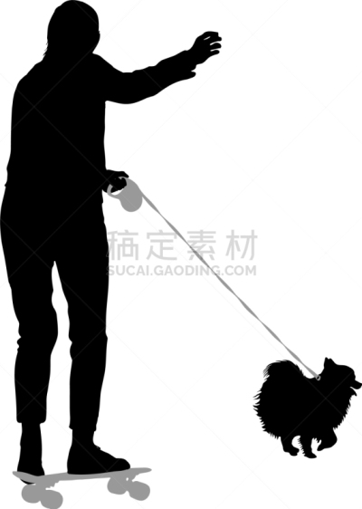 狗,女人,白色背景,纯种犬,梗犬,动物,斯班尼犬,剪影,坐,训练