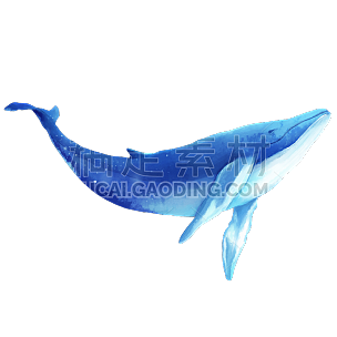 中国风元素主题-鲸鱼