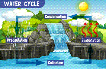 科学,泥土,Water Cycle,生物学,热,脚踏车,地下水,天气,植物群,流动