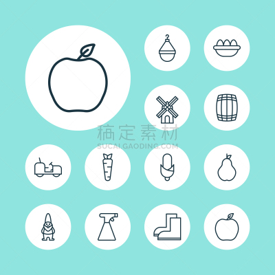 根部,卵子,甜玉米,湿,干净,测量工具,古老的,生食,收集,布置