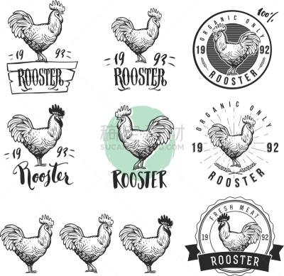 肉,公鸡,商品,鸡,分离着色,农业,图像,动物,复古