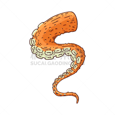 触须,草图,乌贼,计算机图标,卷着的,食品,动物,粗糙的,复古,绘制