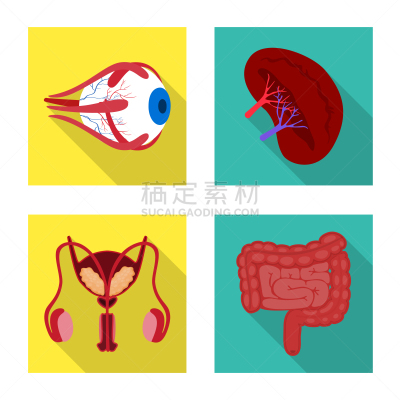 健康保健,人,品牌名称,生物学,视力,角膜,植物群,空肠,眼球,布置