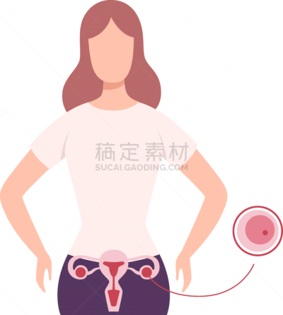 健康保健,捐款箱,卵,青年女人,生物学,人体解剖学,人,慈善救济,女人,矢量