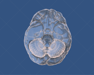 绘画插图,正下方视角,脑部,雕刻图像,接线框,数字化显示,有序,背景分离,技术,泰国