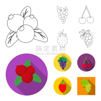 水果,标志,浆果,分离着色,忍冬,红色,清新,秋天,收集,设计